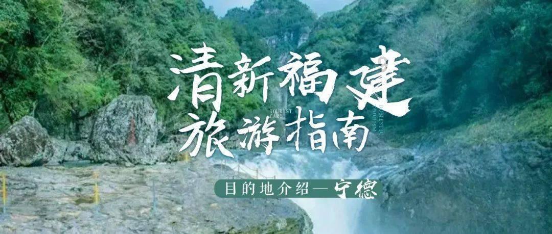 奥利维亚收养猫